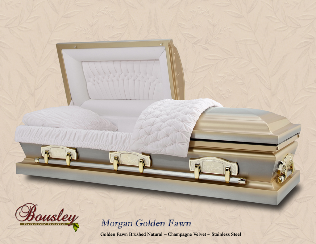 Morgan Golden Fawn